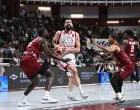 Nikola Mirotić