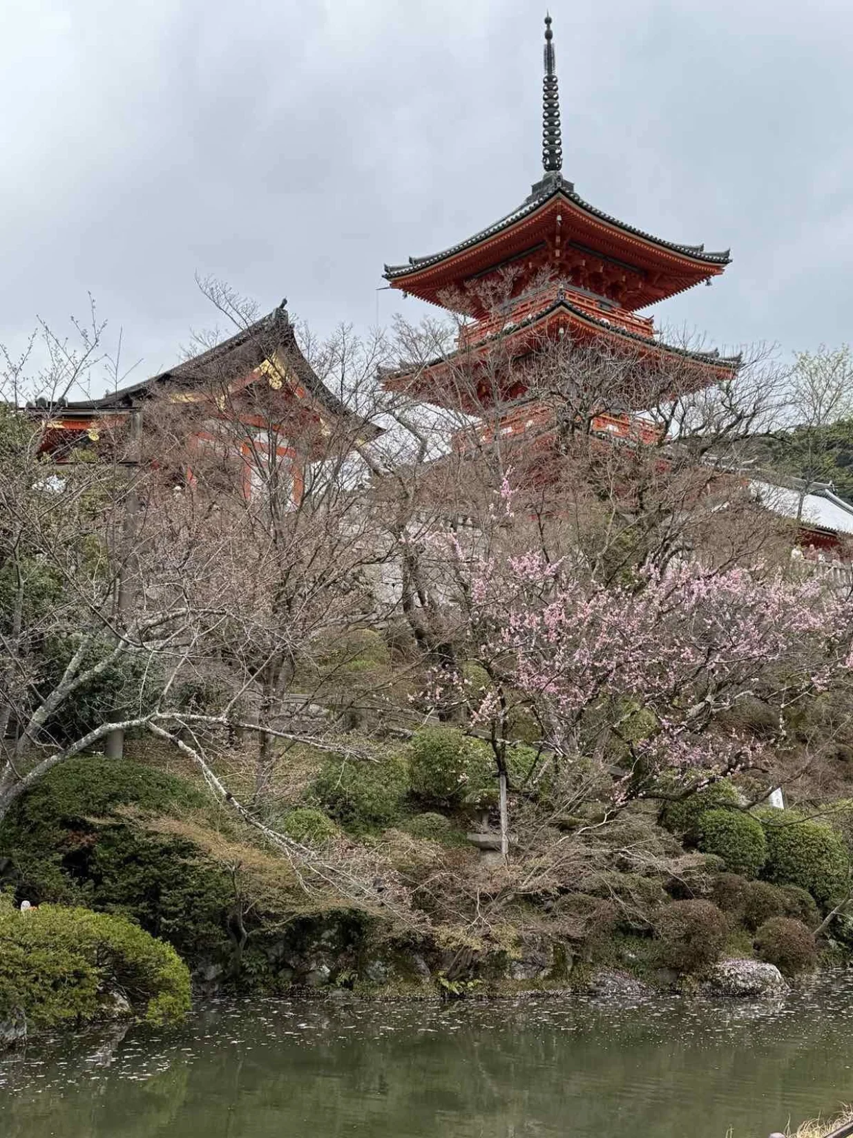 Japan iz snova/