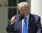 Donald Trump/Celal Güneş
