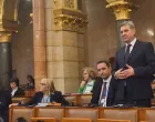 Zvizdić u Budimpešti/Ps Bih