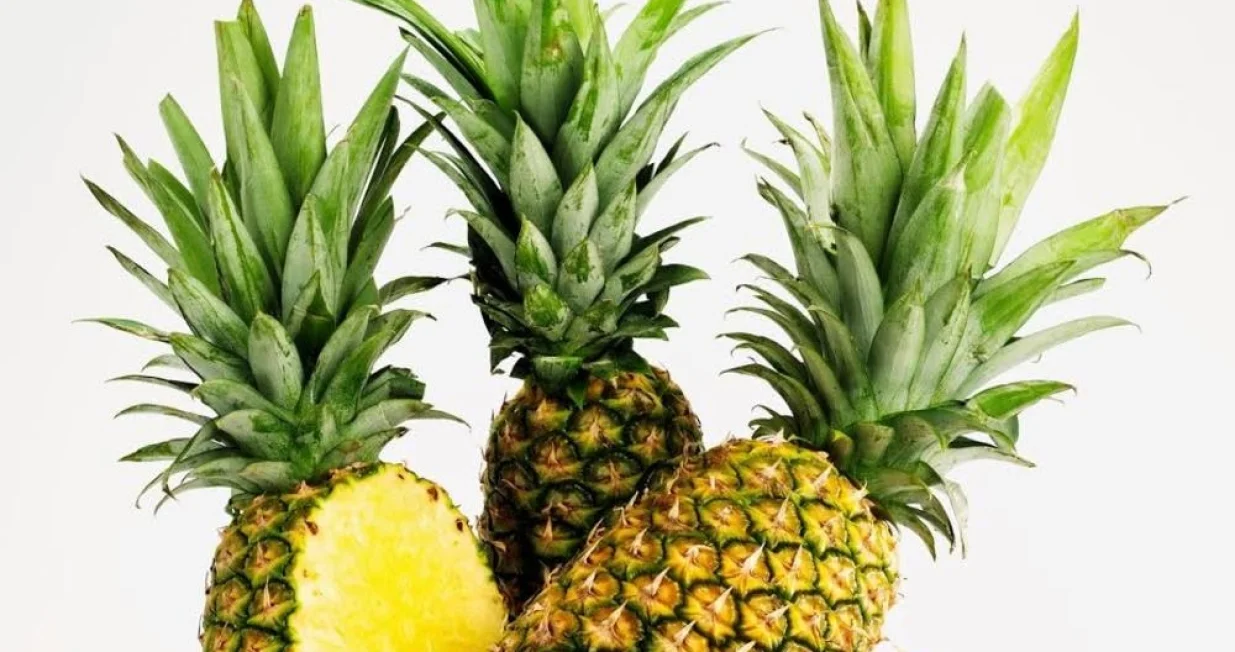 kora ananas/