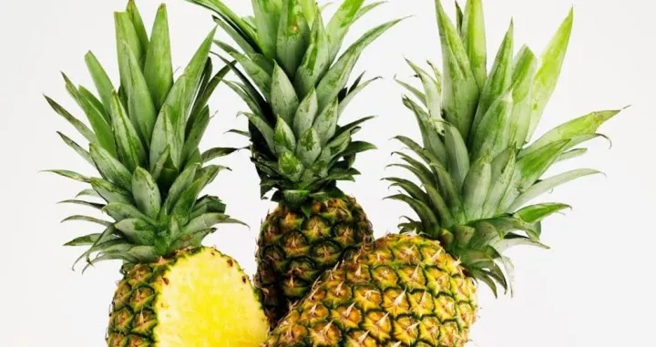 kora ananas/
