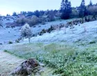 Rakitnica Bjelašnica, najhladnije mjesto u BiH/Bh Meteo
