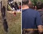 Srećm, niko nije povrijeđen/Al Jazeera Balkans
