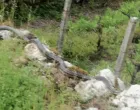 Dalmatinski udav/Radio Imotski