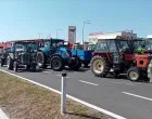 Poljoprivrednici BiH/Bedrudin Brljavac 
