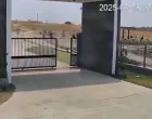 Zaista, nesvakidašnji snimak/X