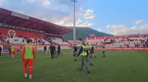 Haris Halkić