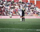 Domagoj Pavičić Haris Halkić