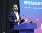 delić unicef socijalna politika/