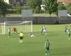 Ristićev gol