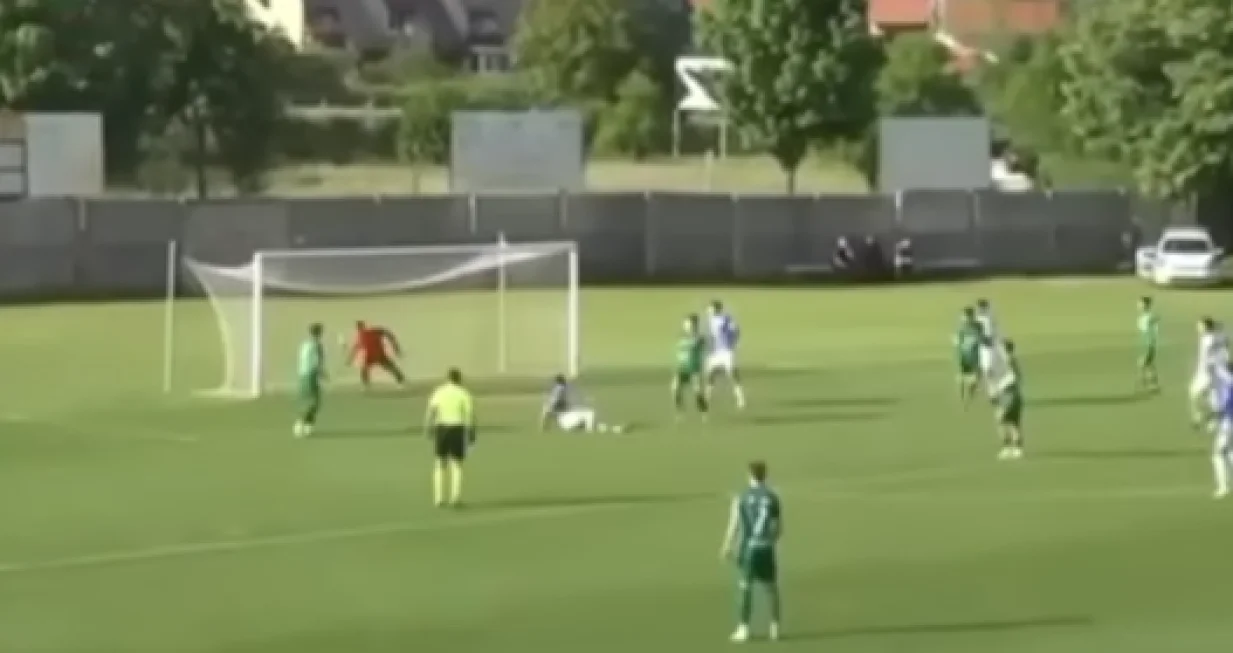 Ristićev gol