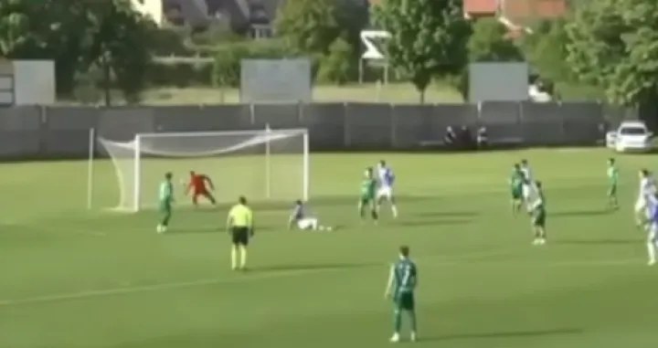 Ristićev gol