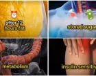 YouTube/Wellness Wise/f gd/Youtube/wellness Wise