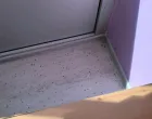 Mušice u ponedjeljak 12.05.2025./