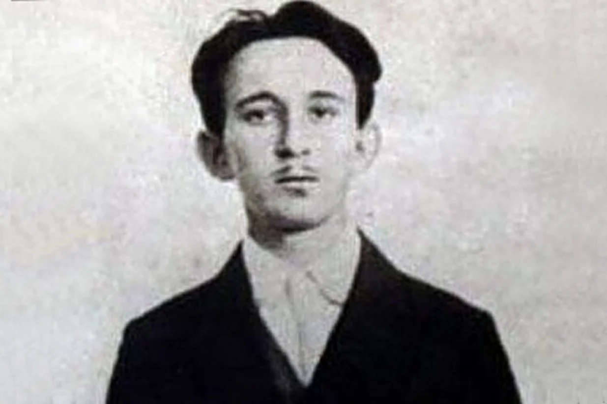 Vasa Čubrilović/