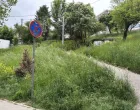 trava, košenje, park/Nedim Fetahović