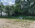 Smeće kod Zemaljskog muzeja/Tanja Cerić/