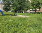 leptospiroza, park, trava, novi grad, sarajevo/
