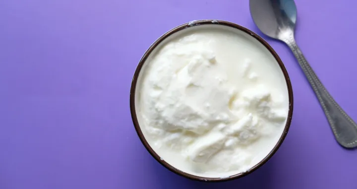 jogurt hrana/