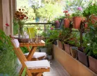 balkonsko cvijeće balkon/