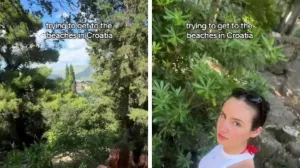TikTok/ Screenshot/Tiktok