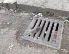 Mrtav pacov u centru Banje Luke/Bl Portal
