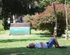 vrućina hladovina odmaranje/Senad Gubelić