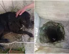 Intervenirali vatrogasci/Facebook/VSB Banja Luka/Vsb Banja Luka