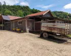 Farma krava, Donja Vogošća, zaražene krave, bruceloza/Tanja Cerić