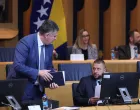 Dom naroda PSBiH/Fena