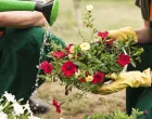 Zalijevanje biljaka može biti umjetnost/Freepik