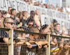BH Fanaticos (FOTO: Damir Deljo/Oslobođenje)