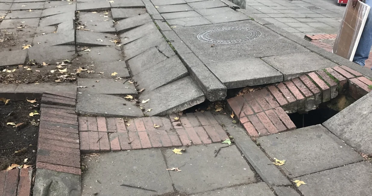 Bogota zemljotres/X