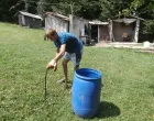 Zmije izlaze iz skloništa/Nezavisne/Arhiva//