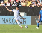 Tarik Muharemović (FOTO: N/FSBiH)