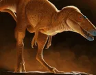 /