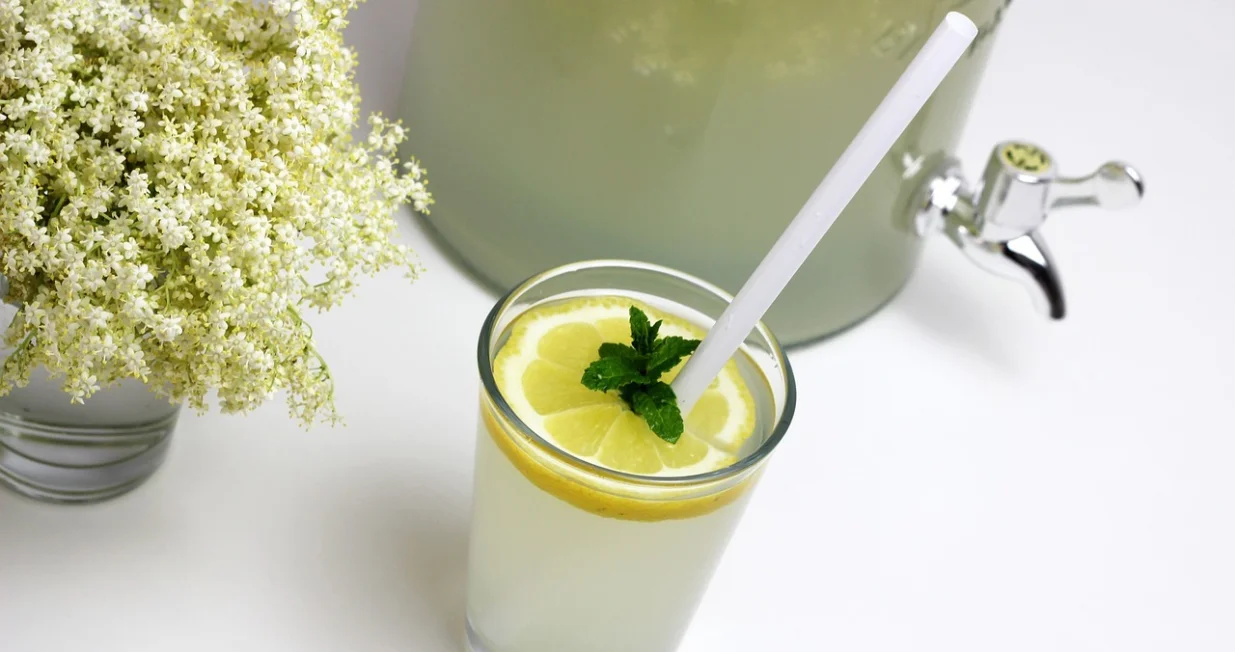 Sirup od zove//