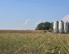 Lijevče Polje nadomak Gradiške/Goran Dakić/
