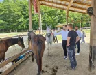 "Begova farma" je trenutno jedino mjesto u Bosanskoj krajini koje nudi iskustvo jahanja kroz netaknute prirodne predjele/