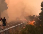 21.06.2025., Pisak - Rano jutros izbio je veliki pozar u sumi iznad magistrale. Bura otezava situaciju, a uz vatrogasce na terenu, u gasenju pozara sudjeluju i mjestani. Kako nesluzbeno doznaje Dalmacija Danas, u tijeku je evakuacija gradjana i turista. Photo: Ivo Cagalj/PIXSELL/Ivo Cagalj/pixsell