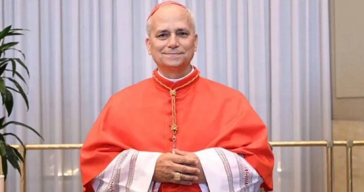 Papa Lav XIV/X