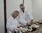 Radionica za praktičnu nastavu/Ju Srednja Skola Poljoprivrede Prehrane Veterine I Usluznih Djelatnosti Sarajevo