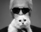 Choupette je jedna sretna i bogata mačka/ Instagram/