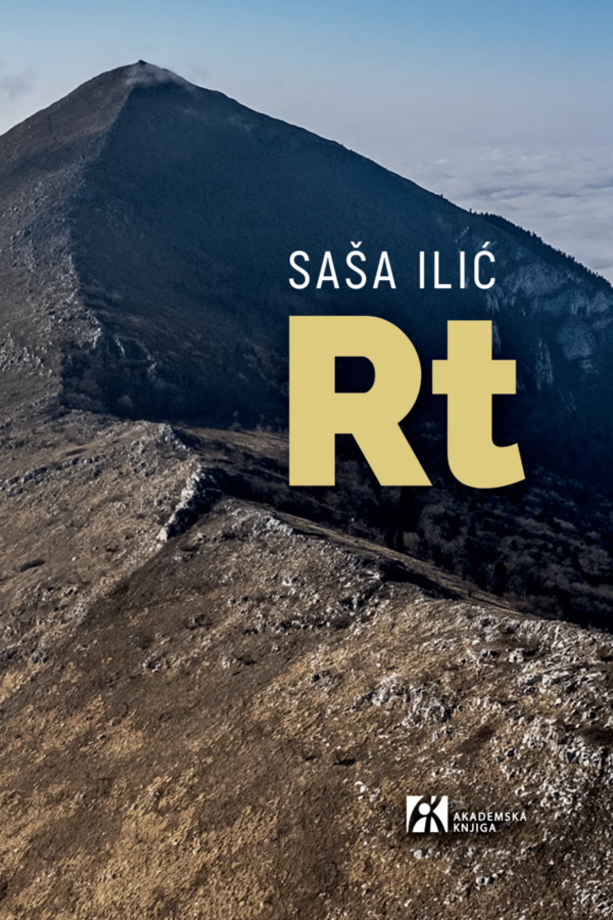 Roman "Rt" Saše Ilića/