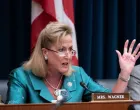 Ann Wagner/Voa