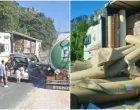 Ispao tovar iz kamiona/Čitatelj/