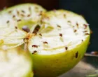 Isprobajte ovu prirodnu metodu bez hemikalija/Pinterest