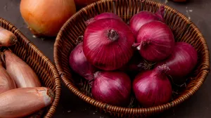 Stručnjaci otkrivaju pravo mjesto za čuvanje/Free Pik