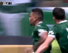 Paulinho, Palmeirras